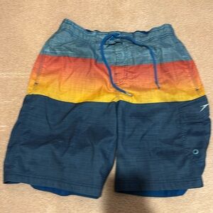Men's Multicolor Swim Shorts